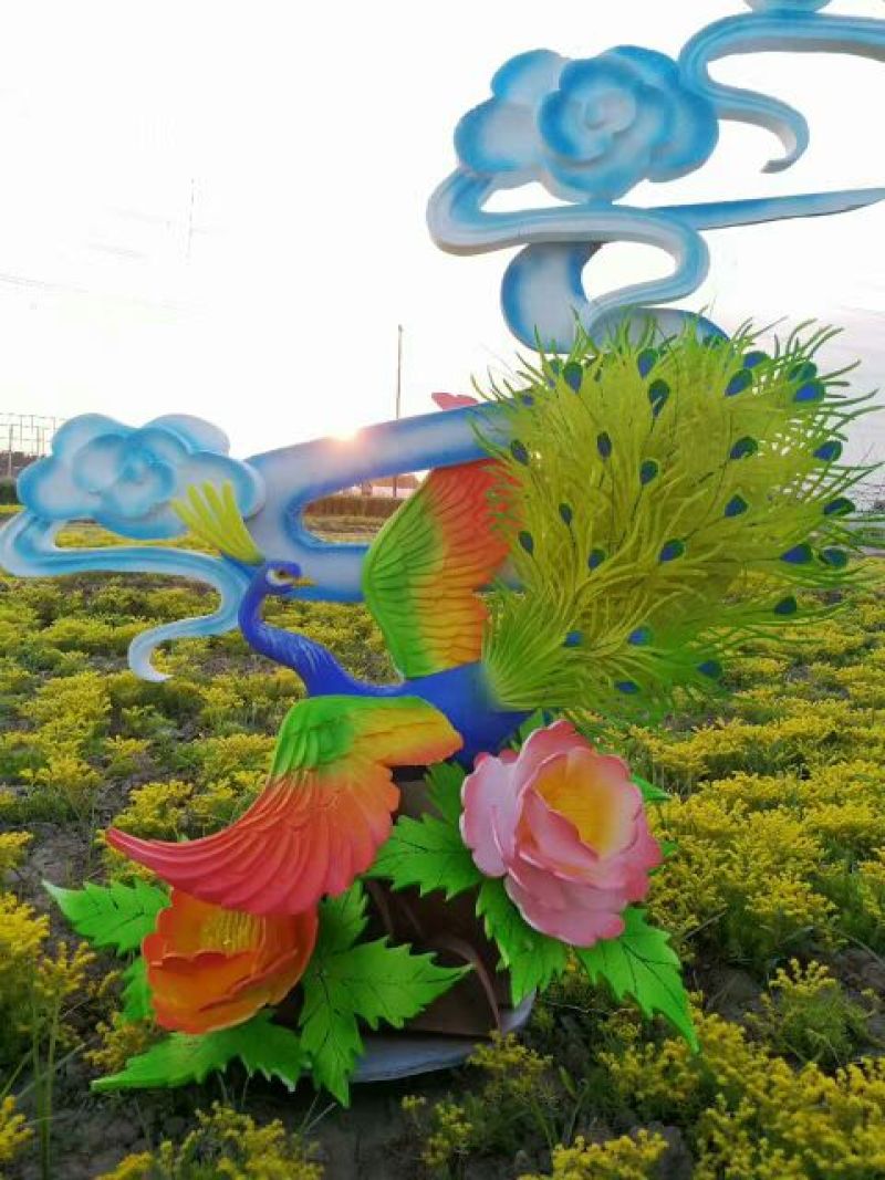 菊花苗各种菊花种苗