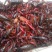 小龙虾食用4~6钱活虾小龙虾主养