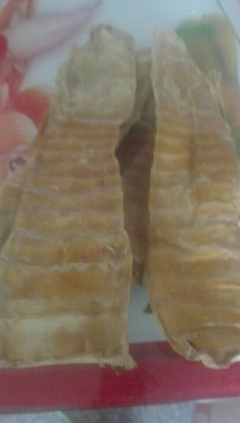 干竹荪三级