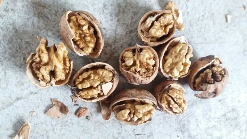 薄皮核桃去皮30~35mm干