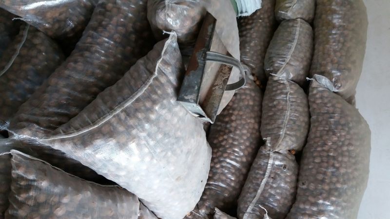 薄皮核桃去皮30~35mm干