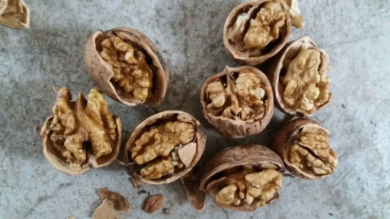薄皮核桃去皮30~35mm干