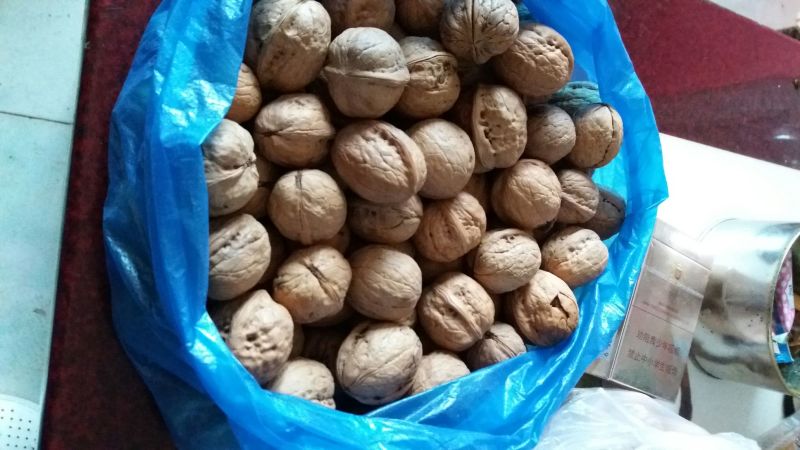 薄皮核桃去皮30~35mm干