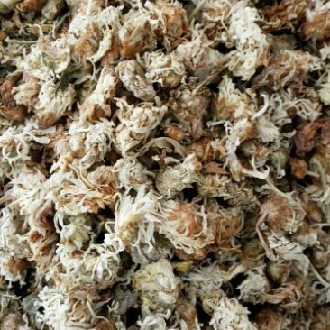 菊花中药材菊花药用菊花泡水菊花