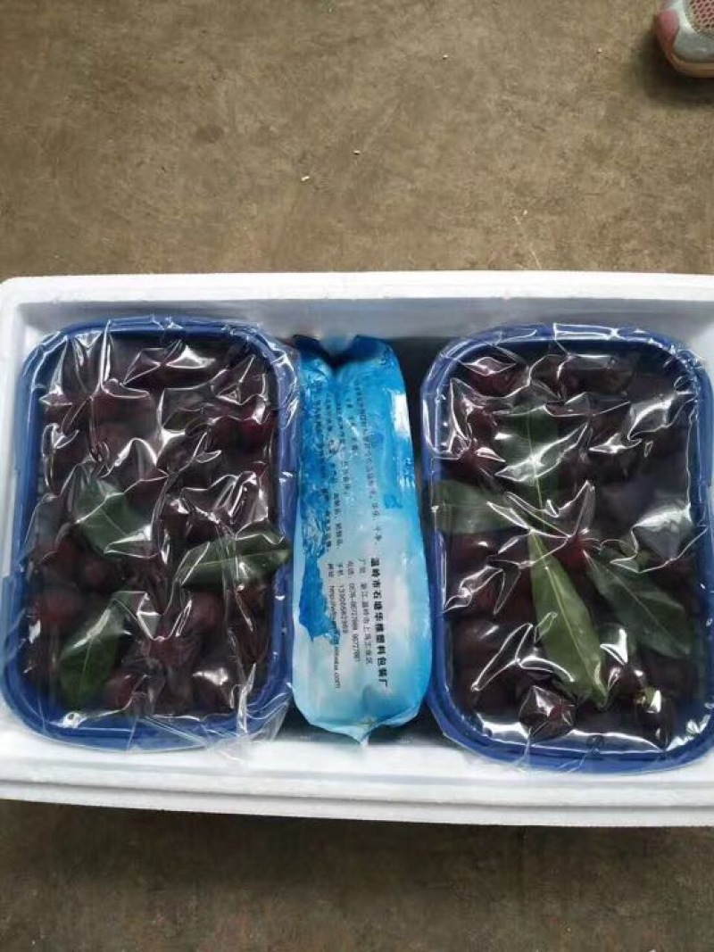 龙海杨梅