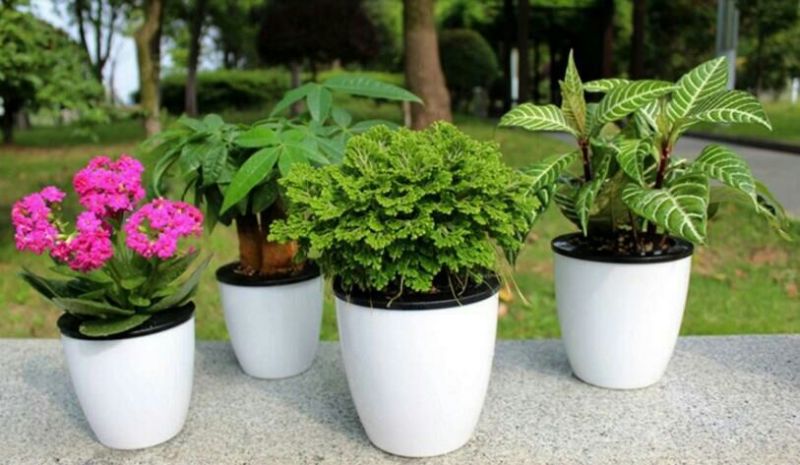 花盆塑料