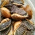 毛螺红螺食用鲜活10~30只/kg