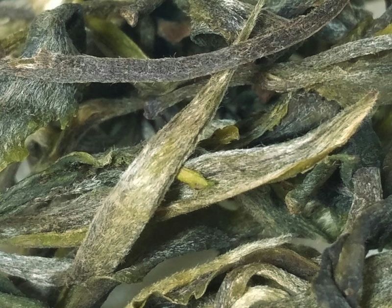 普洱绿茶晒青毛茶凤庆原产