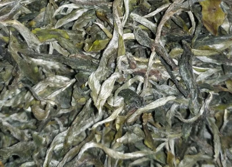 普洱绿茶晒青毛茶凤庆原产