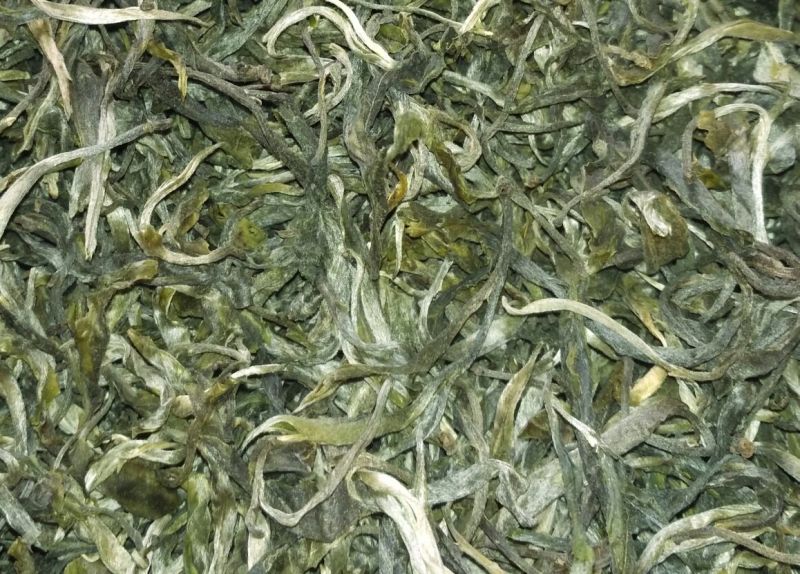普洱绿茶晒青毛茶凤庆原产