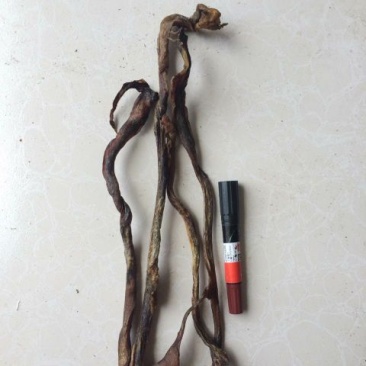 羊鞭中药专营品质保证一手货源