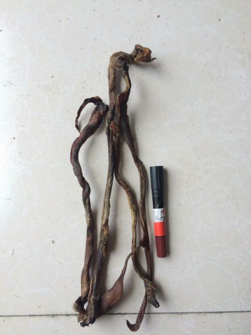 羊鞭中药专营品质保证一手货源