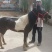 矮马100~200kg