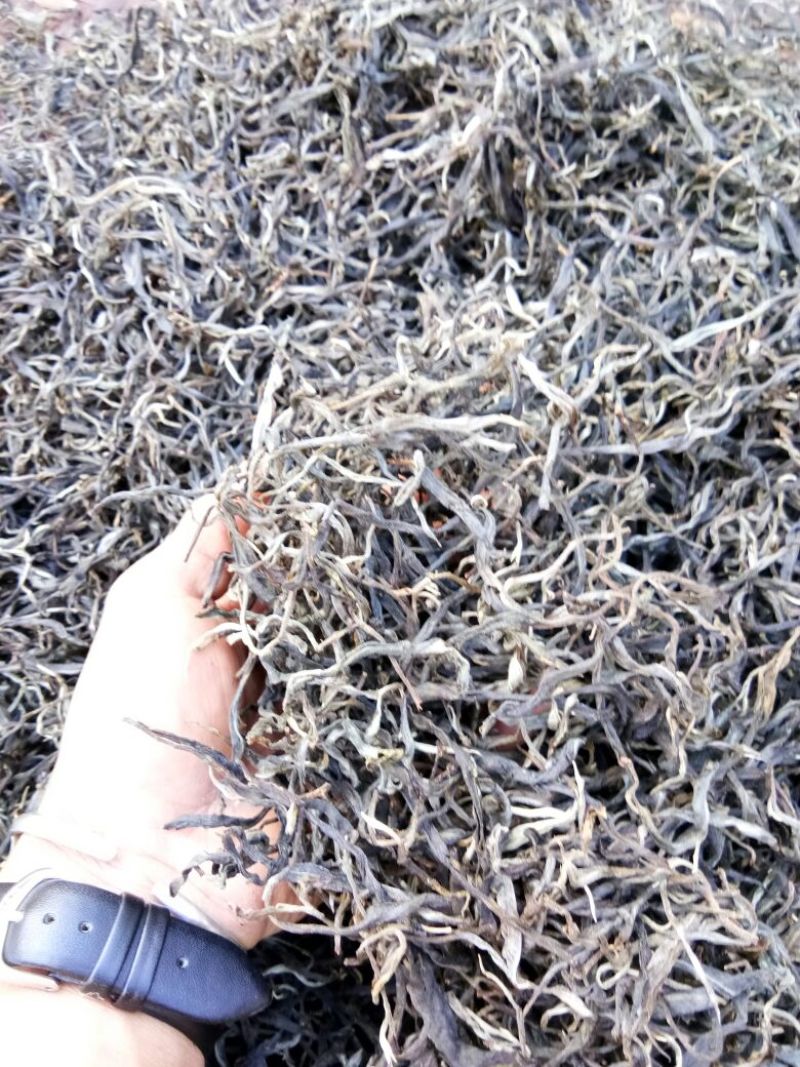 普洱茶一级