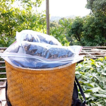 普洱茶一级