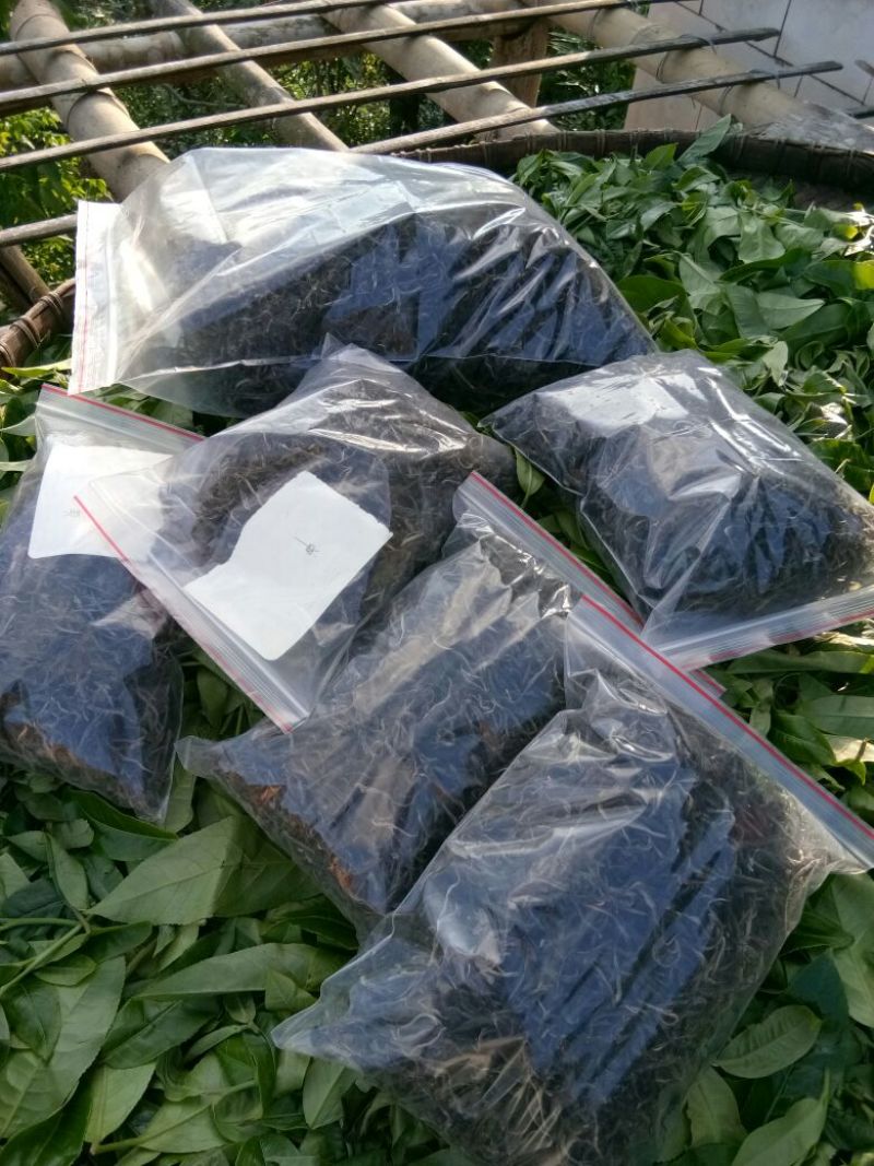 普洱茶一级