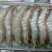 基围虾食用冰鲜虾