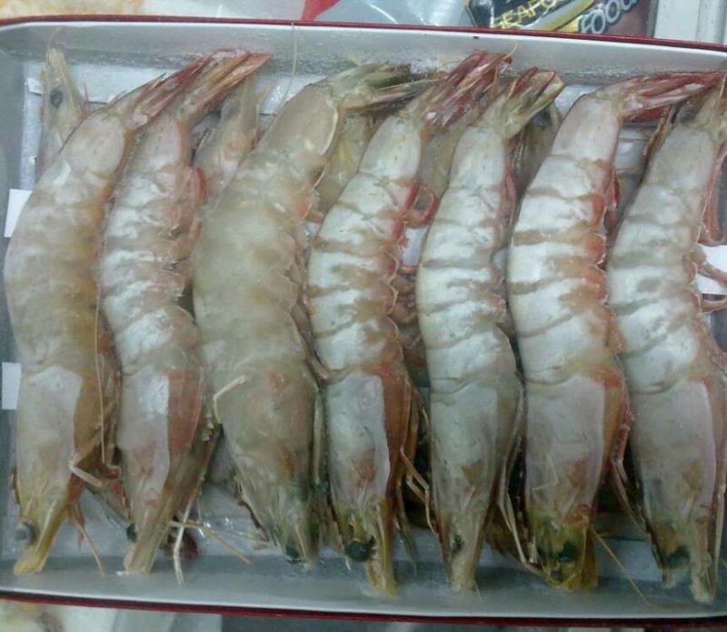 基围虾食用冰鲜虾