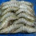 基围虾食用冰鲜虾