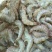 基围虾食用冰鲜虾