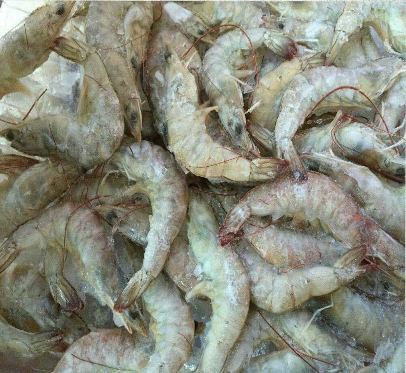 基围虾食用冰鲜虾