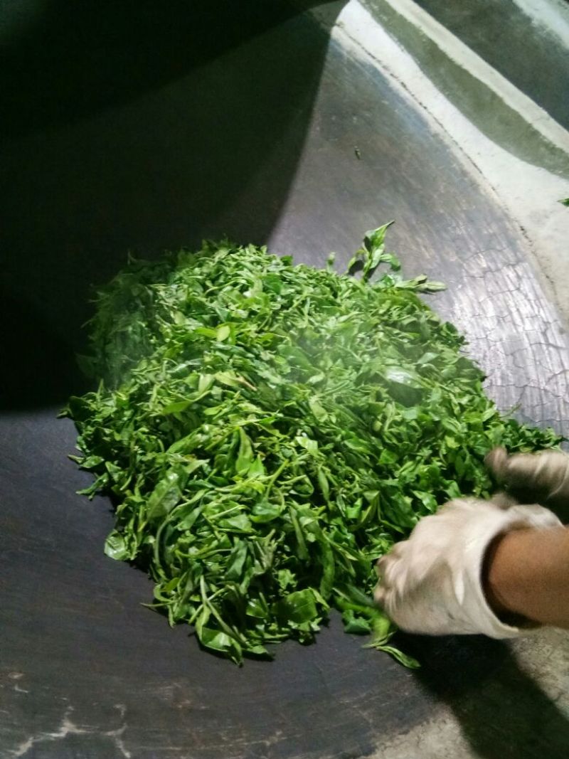 普洱茶一级