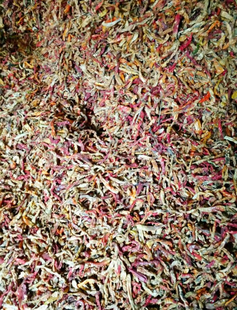 干辣椒好花皮9成干以上