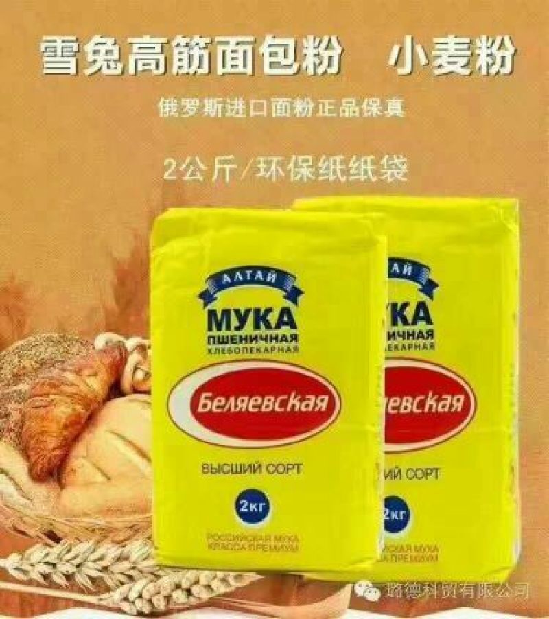 俄罗斯h高筋面粉纯进口雪兔面粉支持一件代发