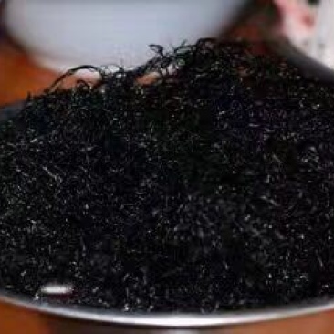 发菜野生植物蔬菜特菜***绿色植物批发与零售