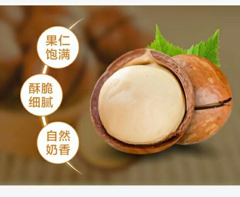 澳洲坚果带壳