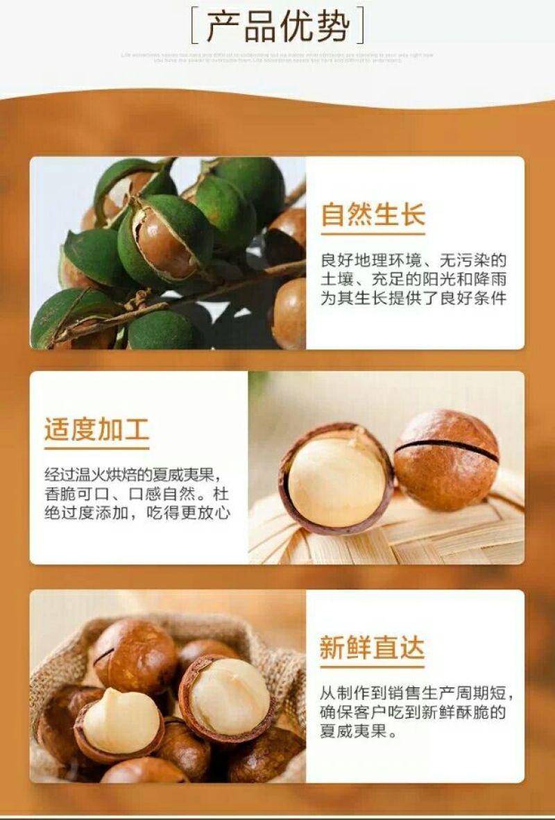 澳洲坚果带壳