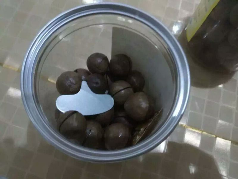 澳洲坚果带壳