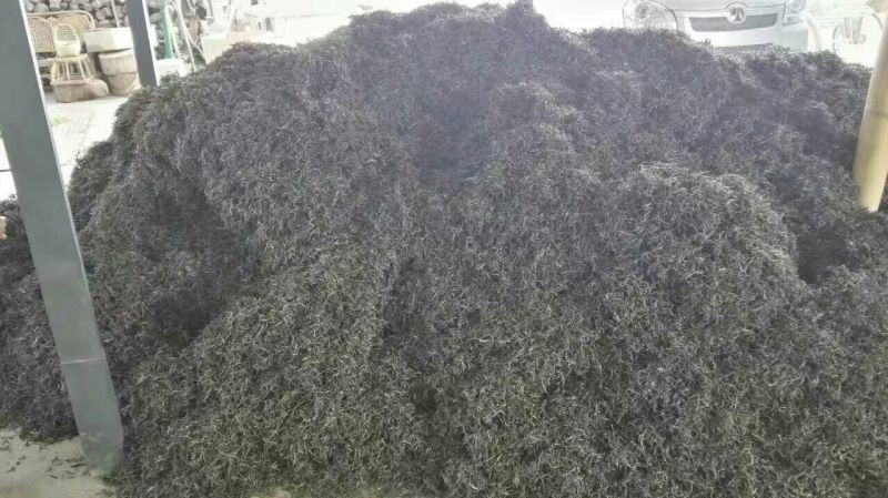 普洱茶二级