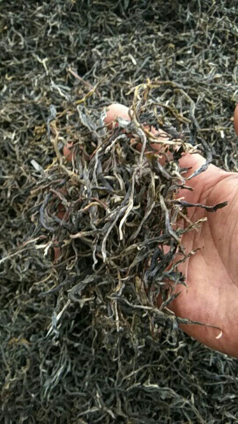 普洱茶二级