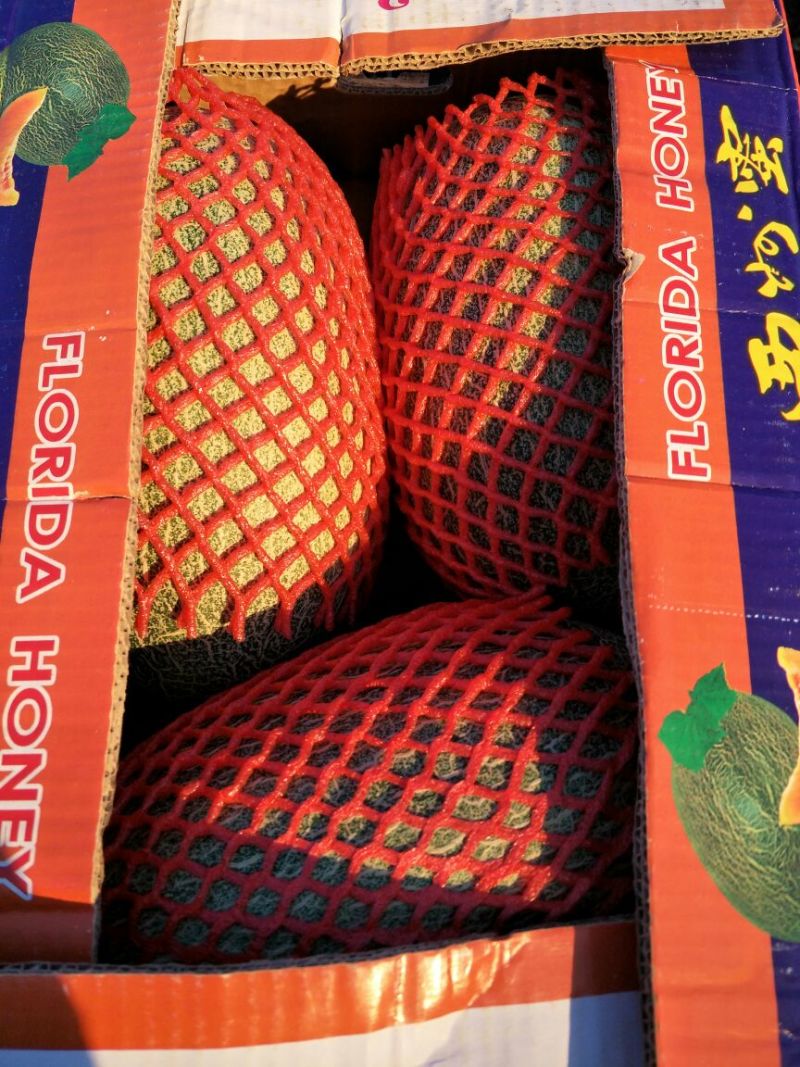 西州蜜瓜2斤以上椭圆形