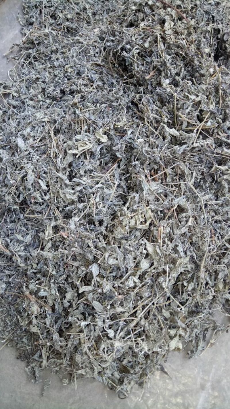 藤茶三级
