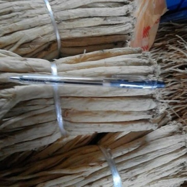 供应扎把大中小条甘肃白条党参药食同源