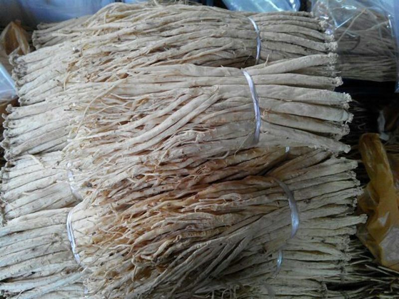 供应扎把大中小条甘肃白条党参药食同源