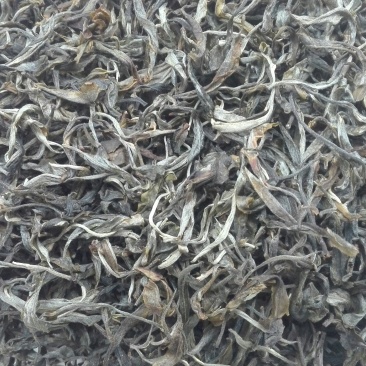 普洱茶特级