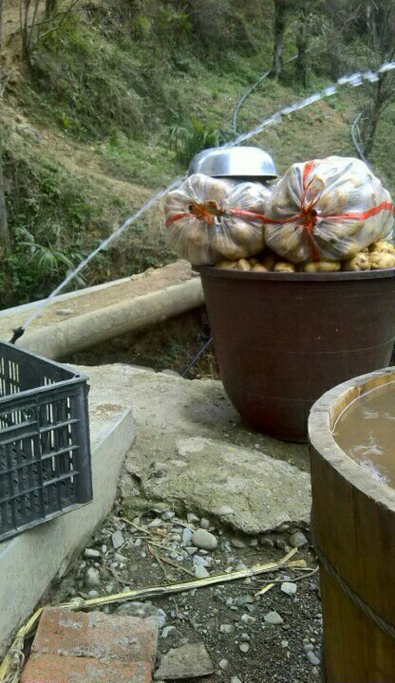 马铃薯淀粉散装
