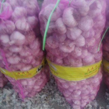 白皮蒜混级统货干蒜