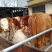 鲁西黄牛犊100~200kg