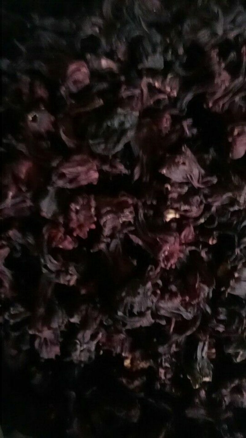 玫瑰茄