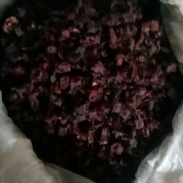 玫瑰茄