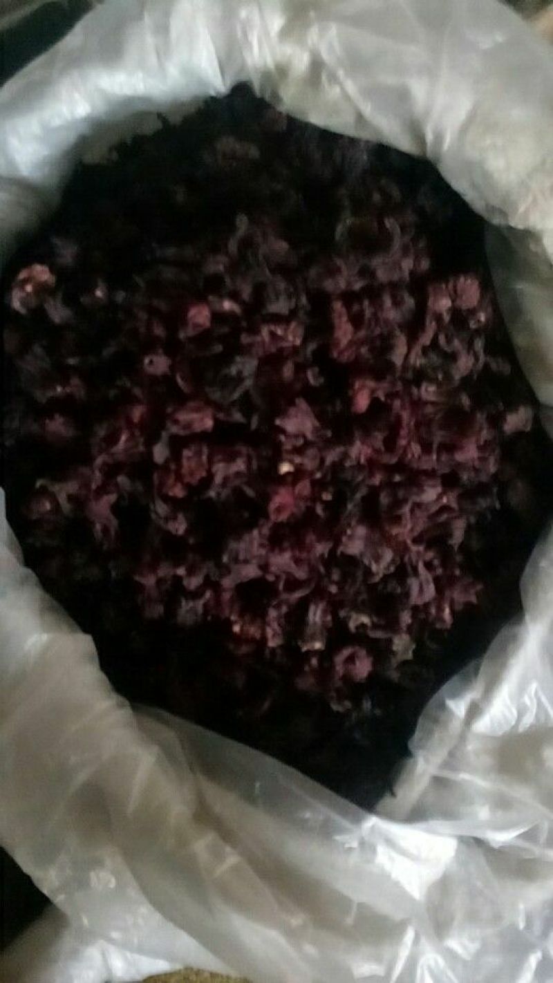 玫瑰茄