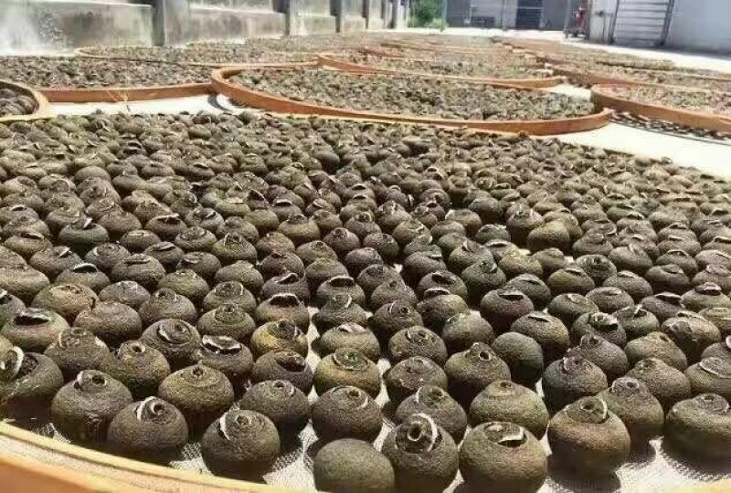 柑普茶特级