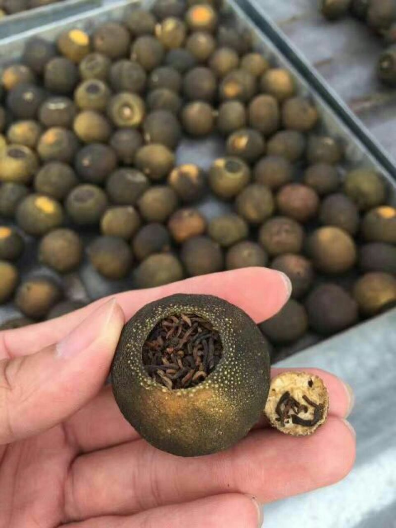 柑普茶特级