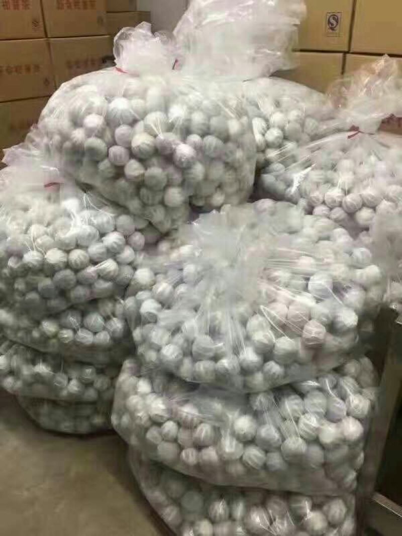 柑普茶特级