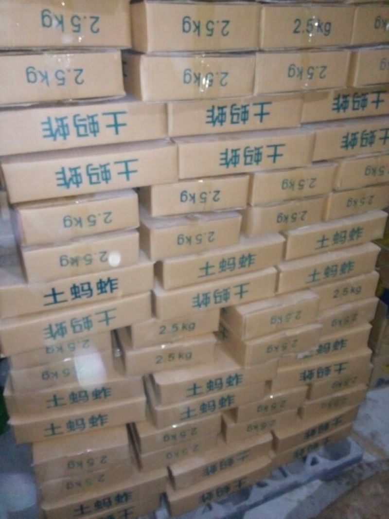 蝗虫食用