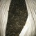古树普洱茶大叶普洱茶